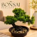 Bonsai Artificial Decoração Zen Planta Realista Dragão Verde Vaso Escuro com Pedras
