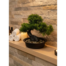 Bonsai Artificial Decoração Zen Planta Realista Dragão Verde Vaso Escuro com Pedras