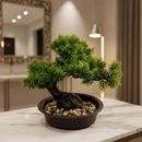 Bonsai Artificial Decoração Zen Planta Realista Dragão Verde Vaso Escuro com Pedras